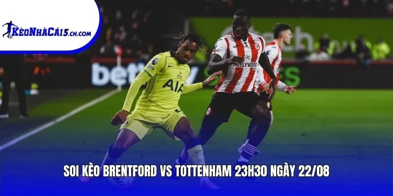 Soi kèo Brentford vs Tottenham | 23h30 ngày 22/08